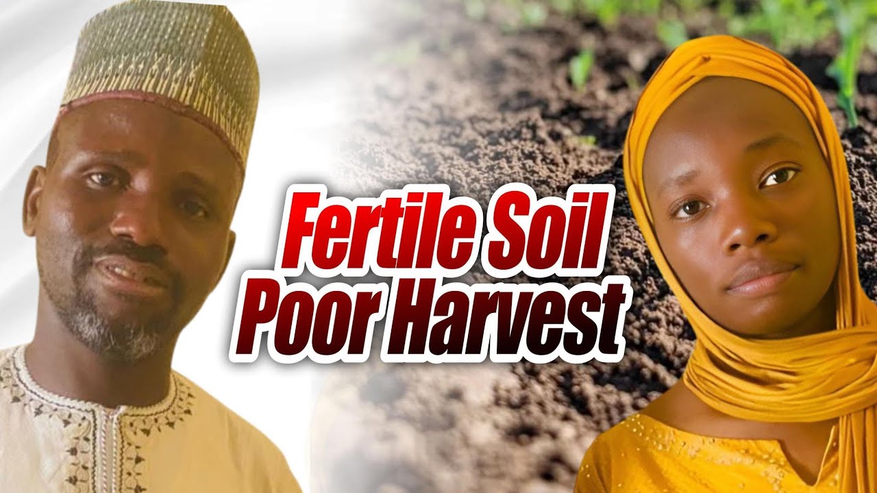 Beyond soil:Why Fertile soil Doesn't Mean More Harvest 