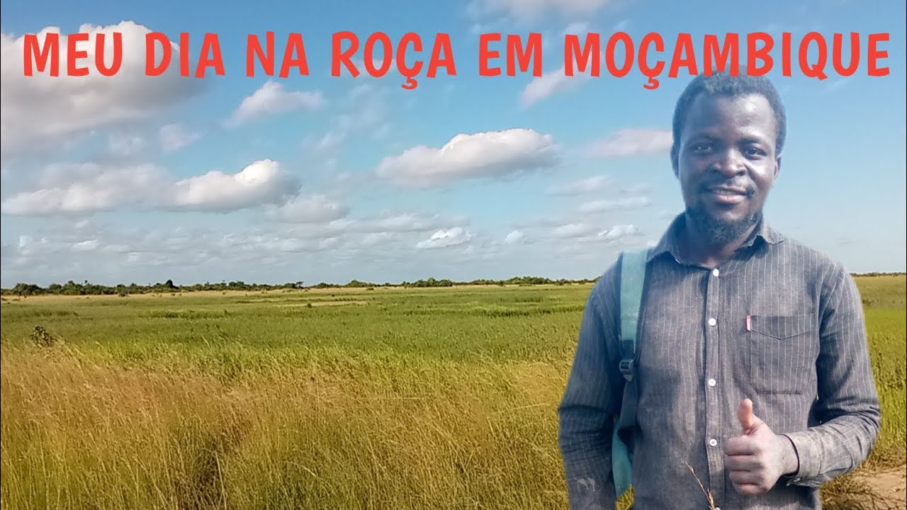 UM DIA INCRÍVEL NA ROÇA EM MOÇAMBIQUE 🇲🇿