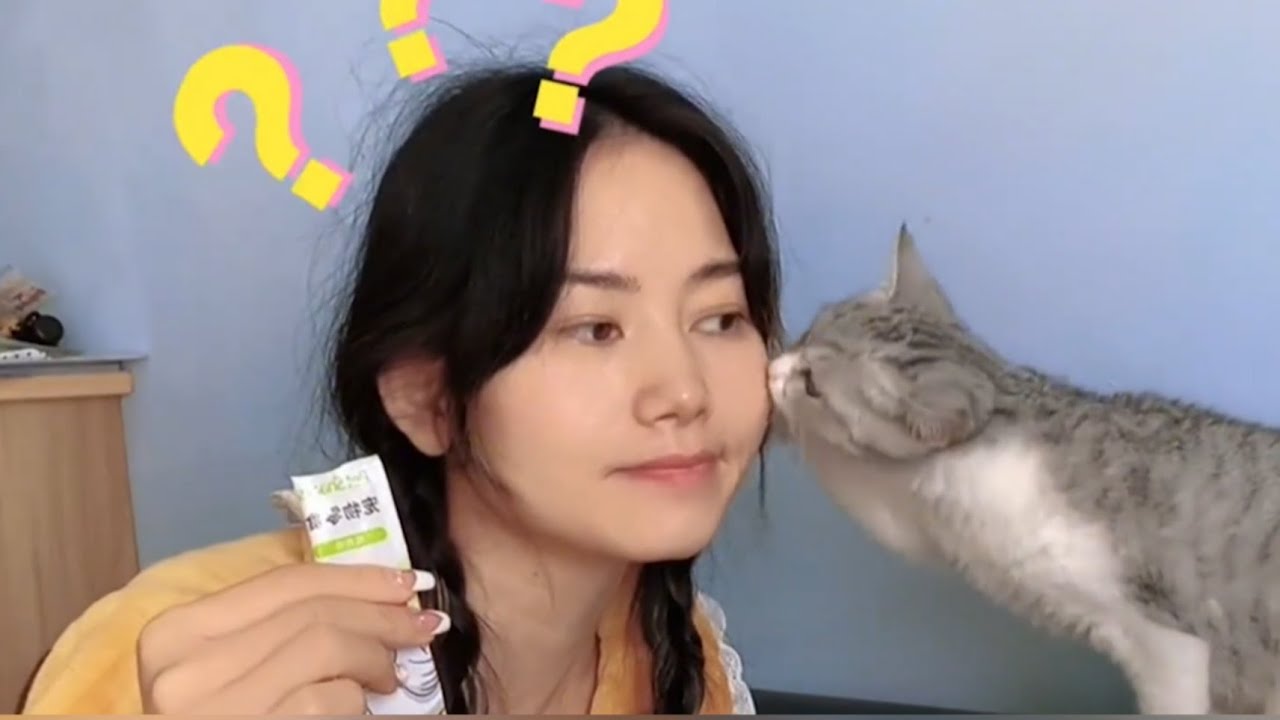 Кошка Учится Языку Жестов, чтобы Общаться с Глухим Владельцем