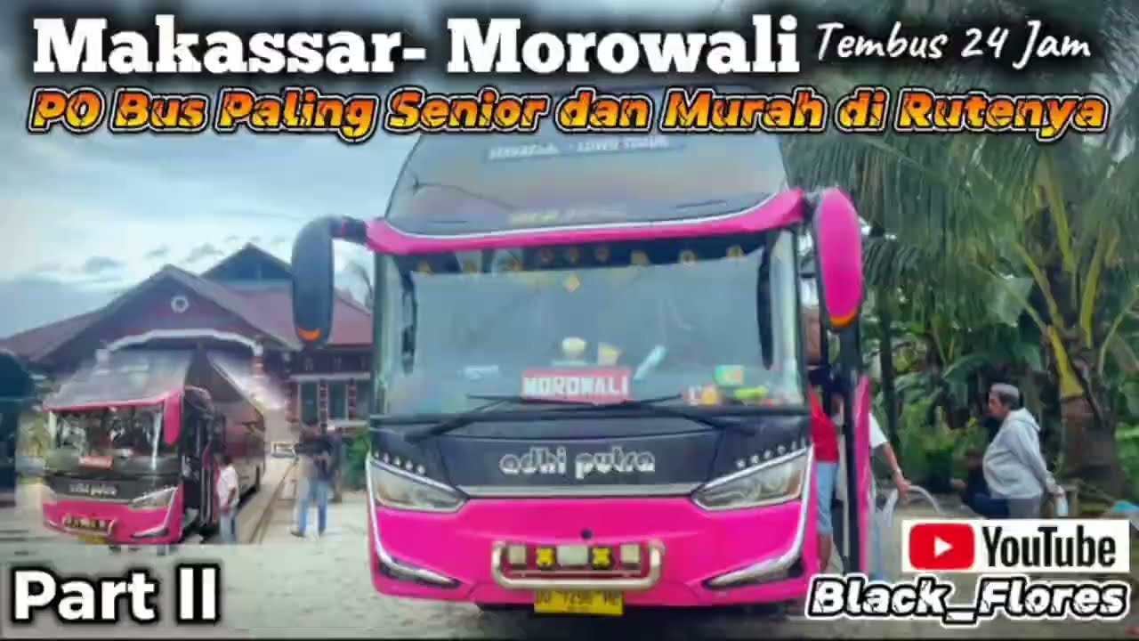 Part 2 Trip Makassar-Morowali Tembus 24 Jam | PO. Bus Paling Senior di Rutenya.