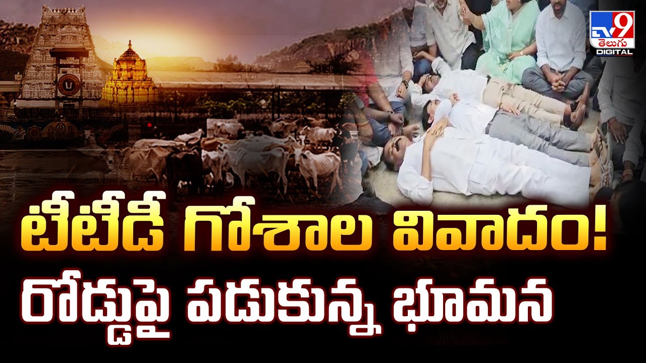 టీటీడీ గోశాల వివాదం! రోడ్డుపై పడుకున్న భూమన | Tirumala Goshala Issue | Bhumana Karunakar Reddy - TV9
