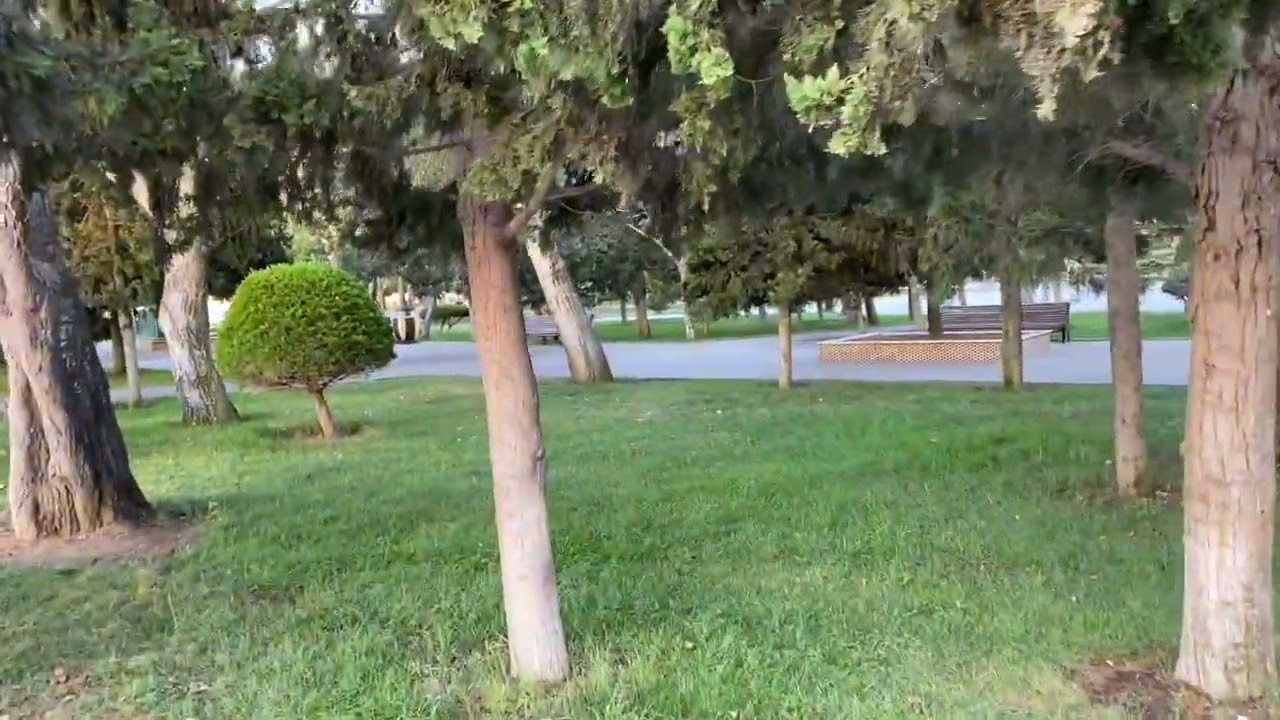 August 20, 2022.  Утро, размышления о памятниках