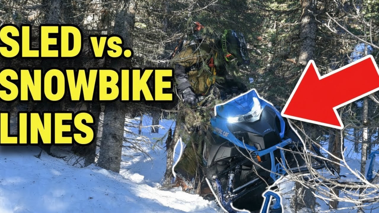 Mastering Tight Timbers on Snowmobiles
