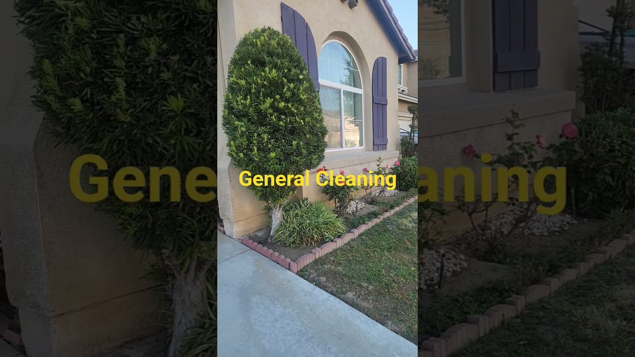 General Cleaning @ProfDavidJDelosReyes  #generalcleaning #lawnmowing #treetrimming