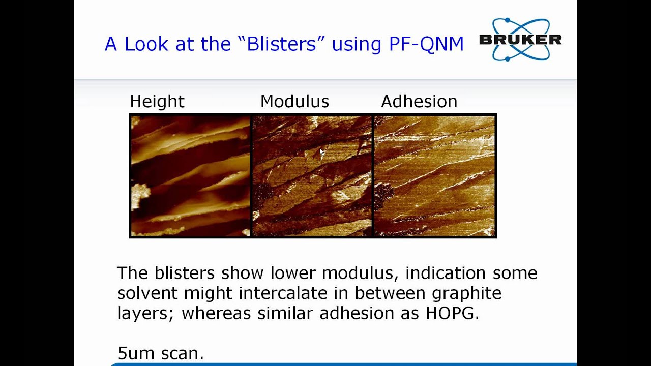 AFM | Advances & Applications in Electrochemical Atomic Force Microscopy | Bruker