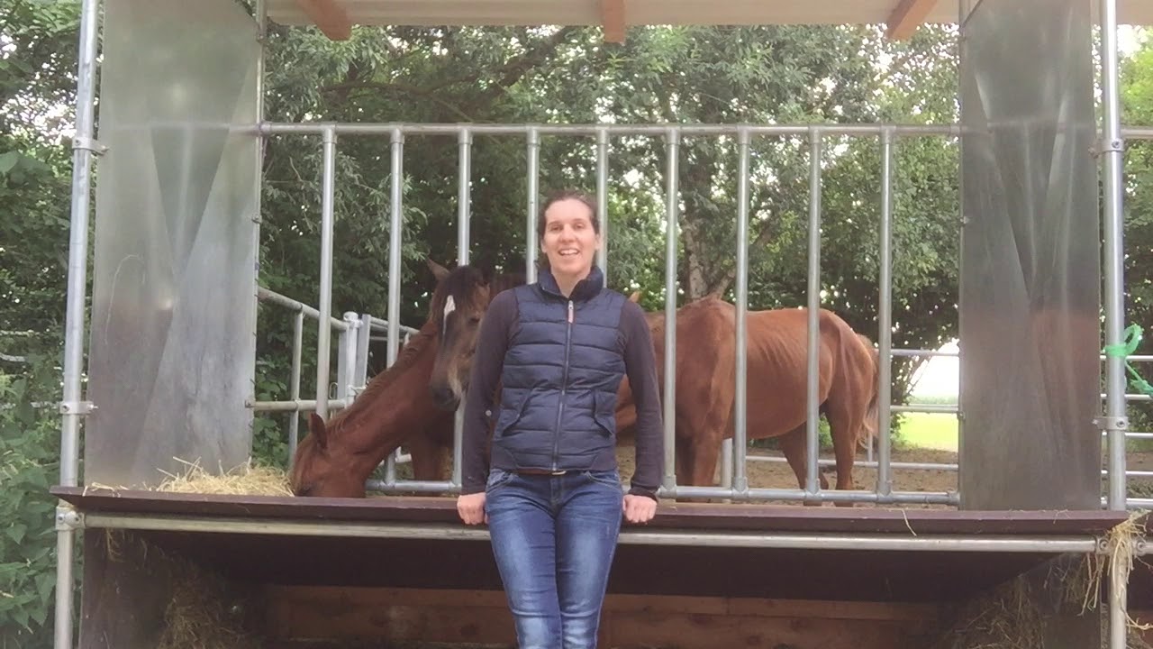 [PaardencoachTips] Zelfcompassie | Zelfzorg als paardencoach |