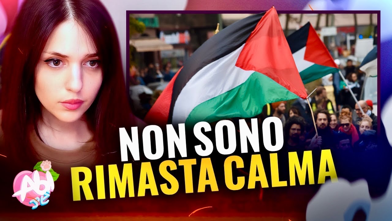 DIBATTITO ACCESO SULLA PALESTINA