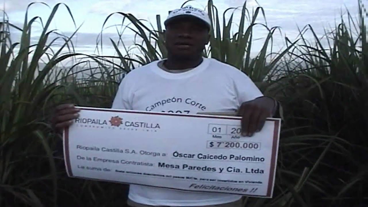 Corteros de ca&ntilde;a. Premio a los mejores.