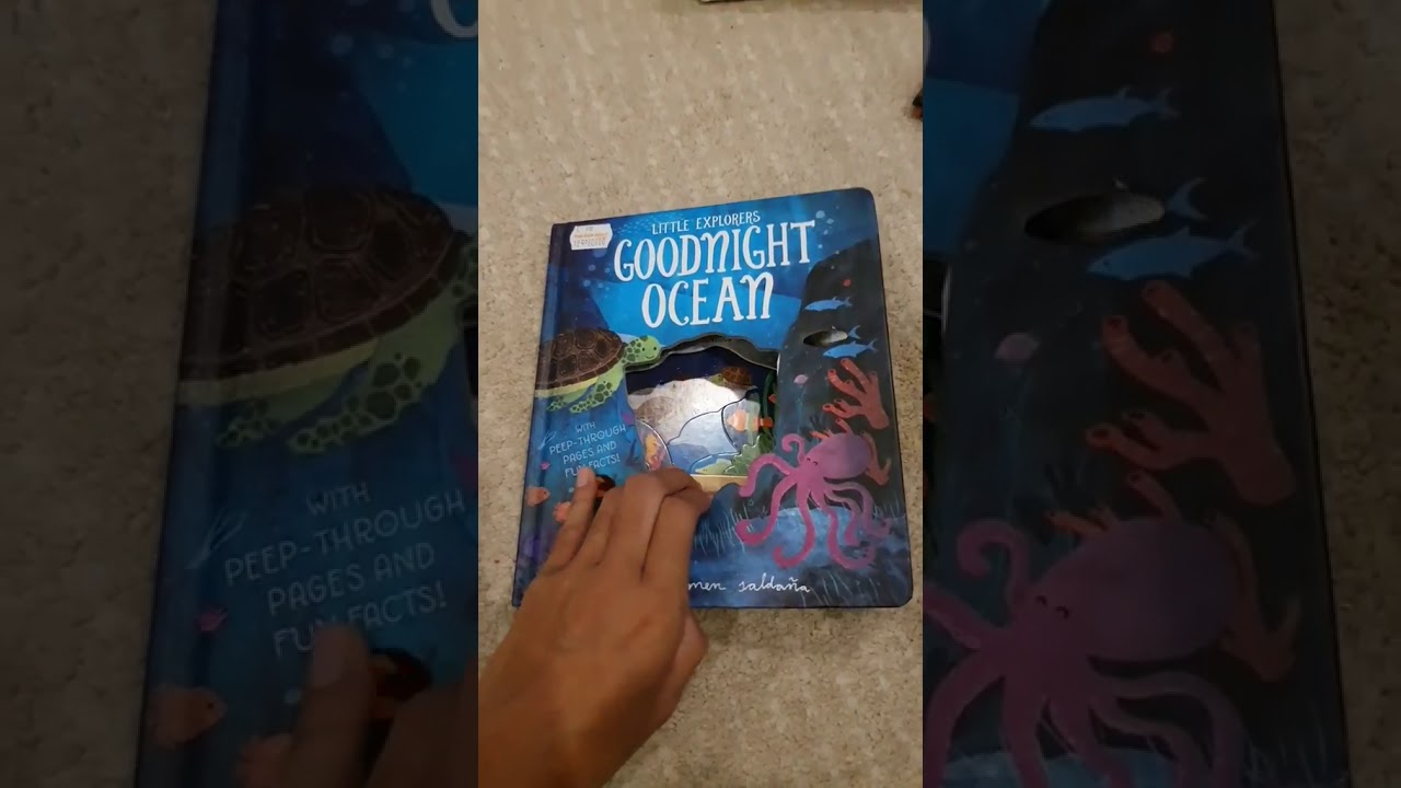 (part 3) Rekomendasi buku BBW / Review buku anak oleh Bu Damar