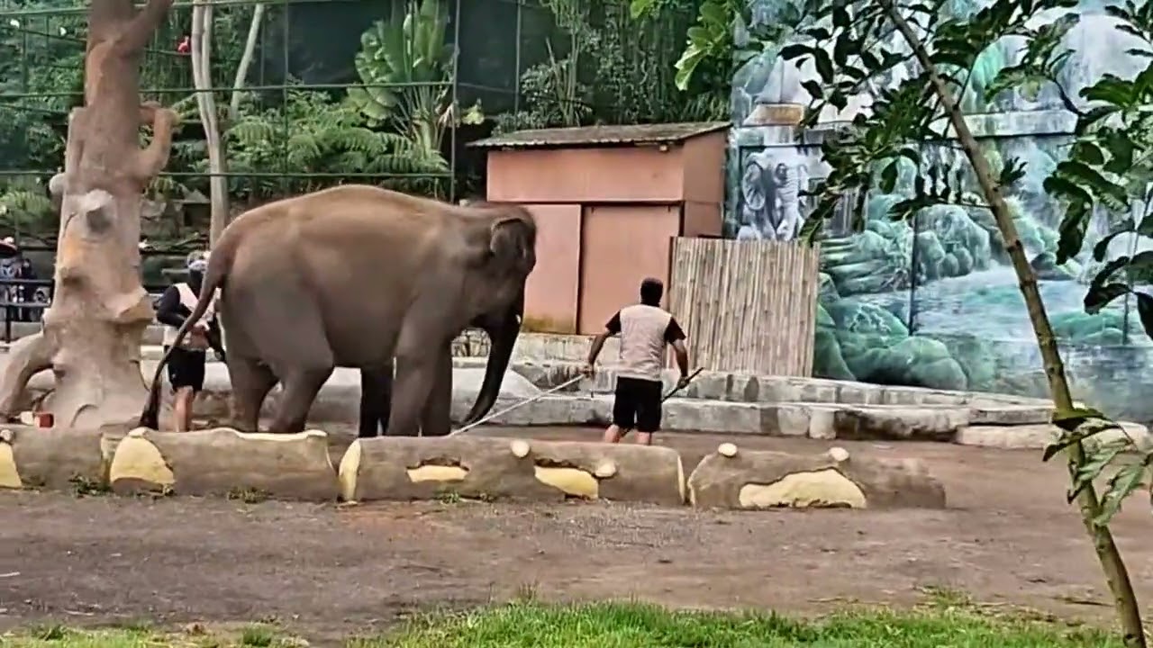 KAMPUNG GAJAH