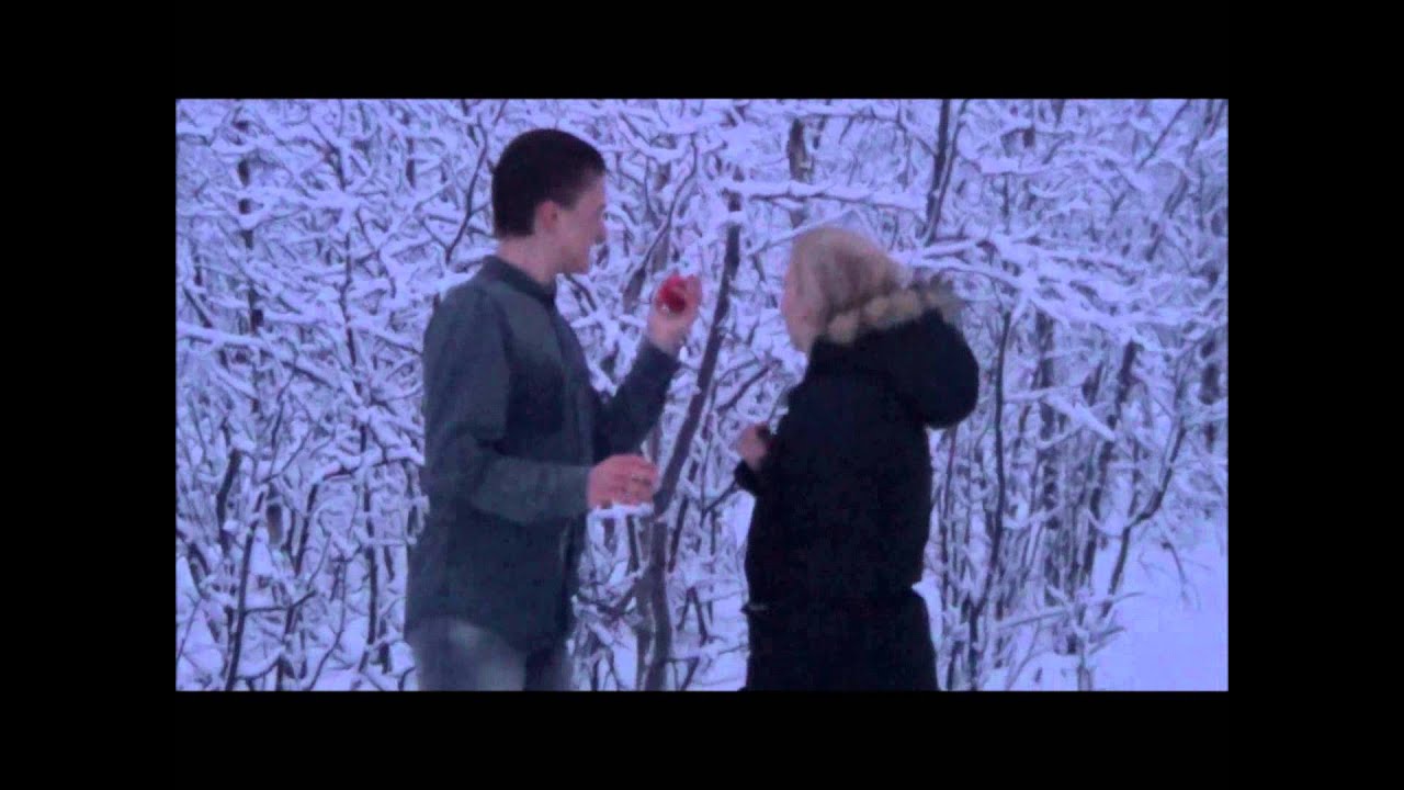 Syndafallet