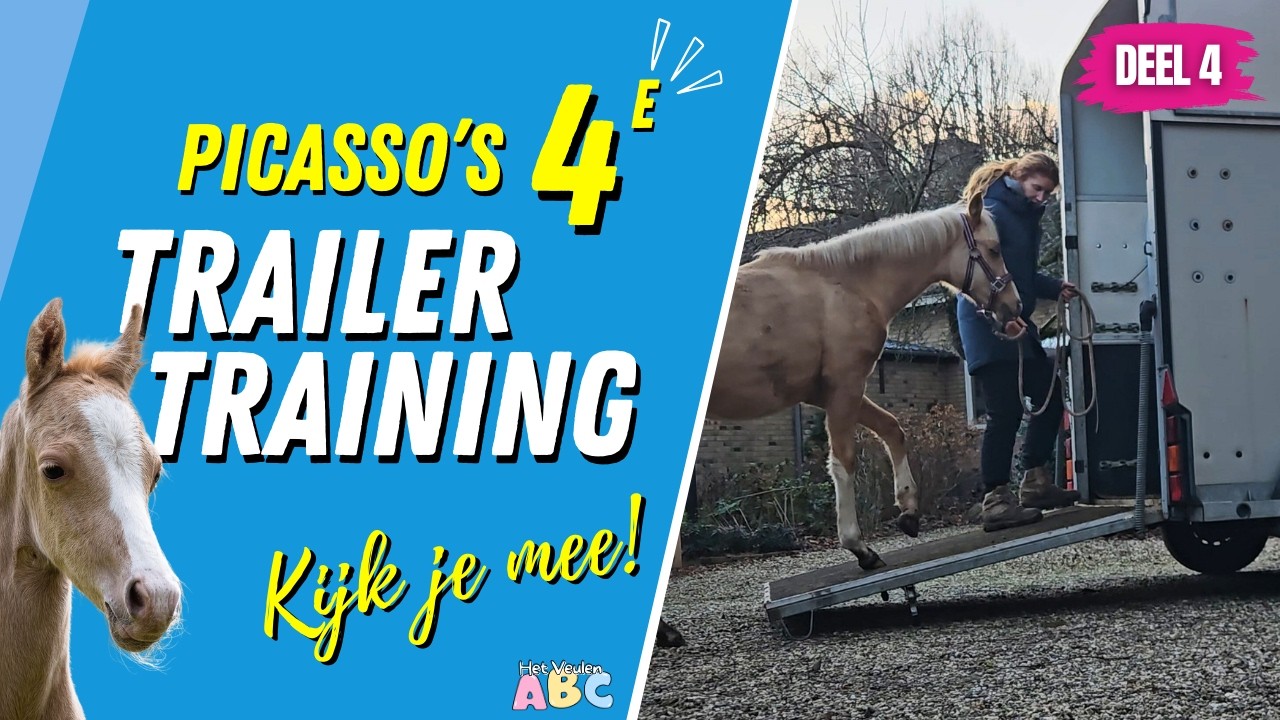 Picasso's vierde trailer training. Kijk je mee? 😊
