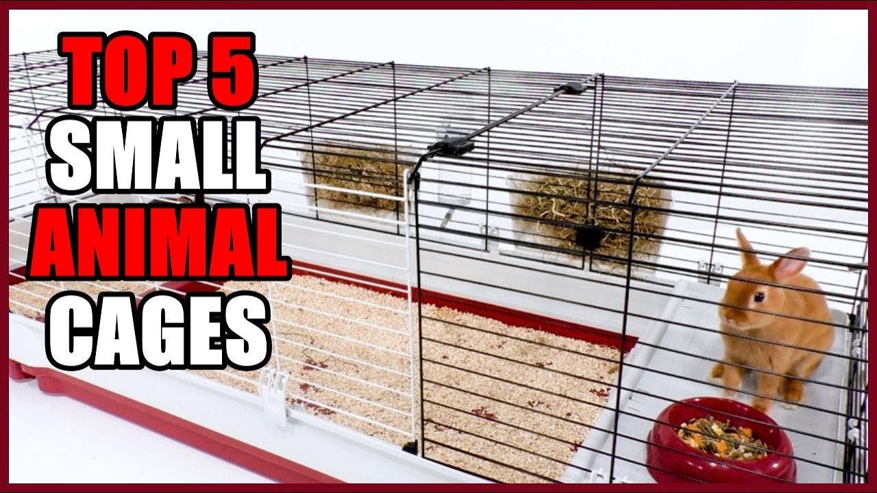 Top 5 Best Small Animal Cages In 2021  On Amazon