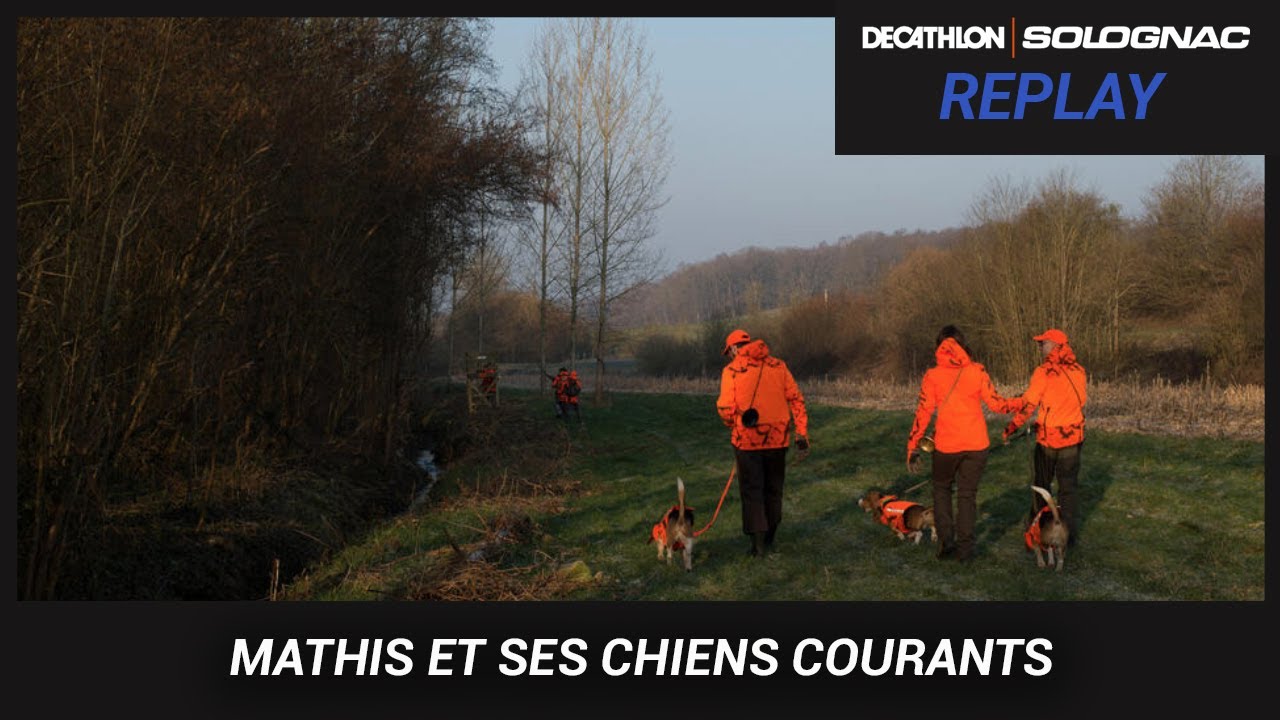 SALON DE LA CHASSE SOLOGNAC 2021 : LA GESTION D'UNE MEUTE DE CHIENS COURANTS