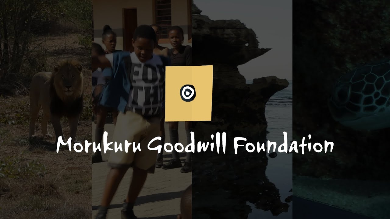 Morukuru Goodwill Foundation Video - 2024