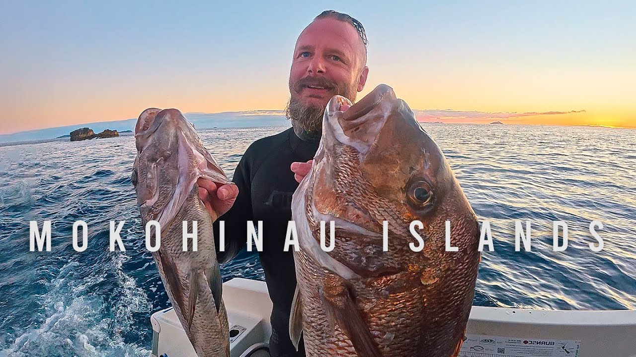 Spearfishing The Mokohinau Islands NZ