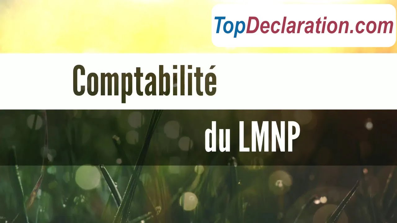 LMNP | LMP au régime réel: Remplir la liasse fiscale. Comptabilité des locations meublées.