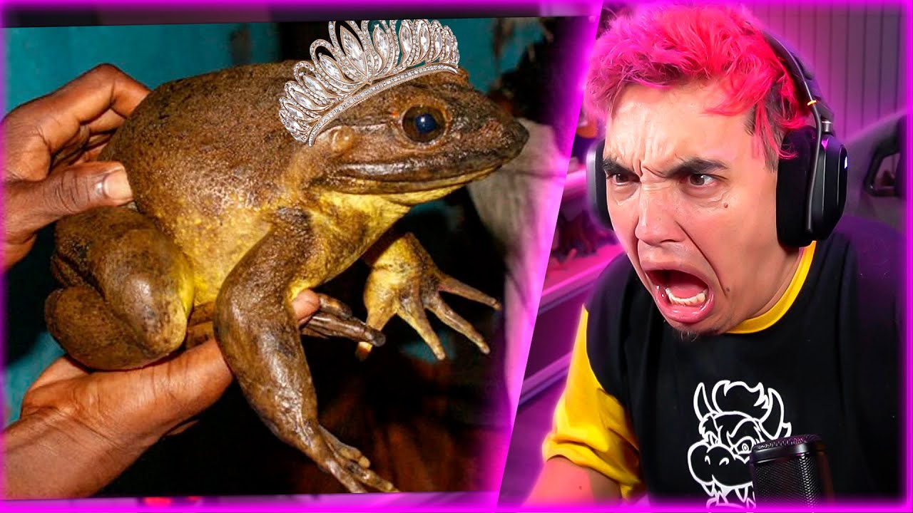 PASTY ENCUENTRA A SU PRINCESA 👑 LOS ANIMALES MAS GRANDES DEL MUNDO -  PARTE 2