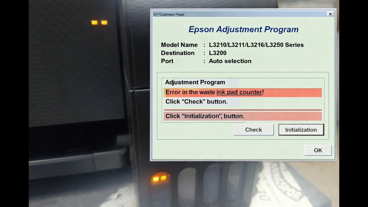 Epson L3200 ошибка мигают два оранжевые индикаторы. Ошибка по памперсу, работаем с Epson Adjustment