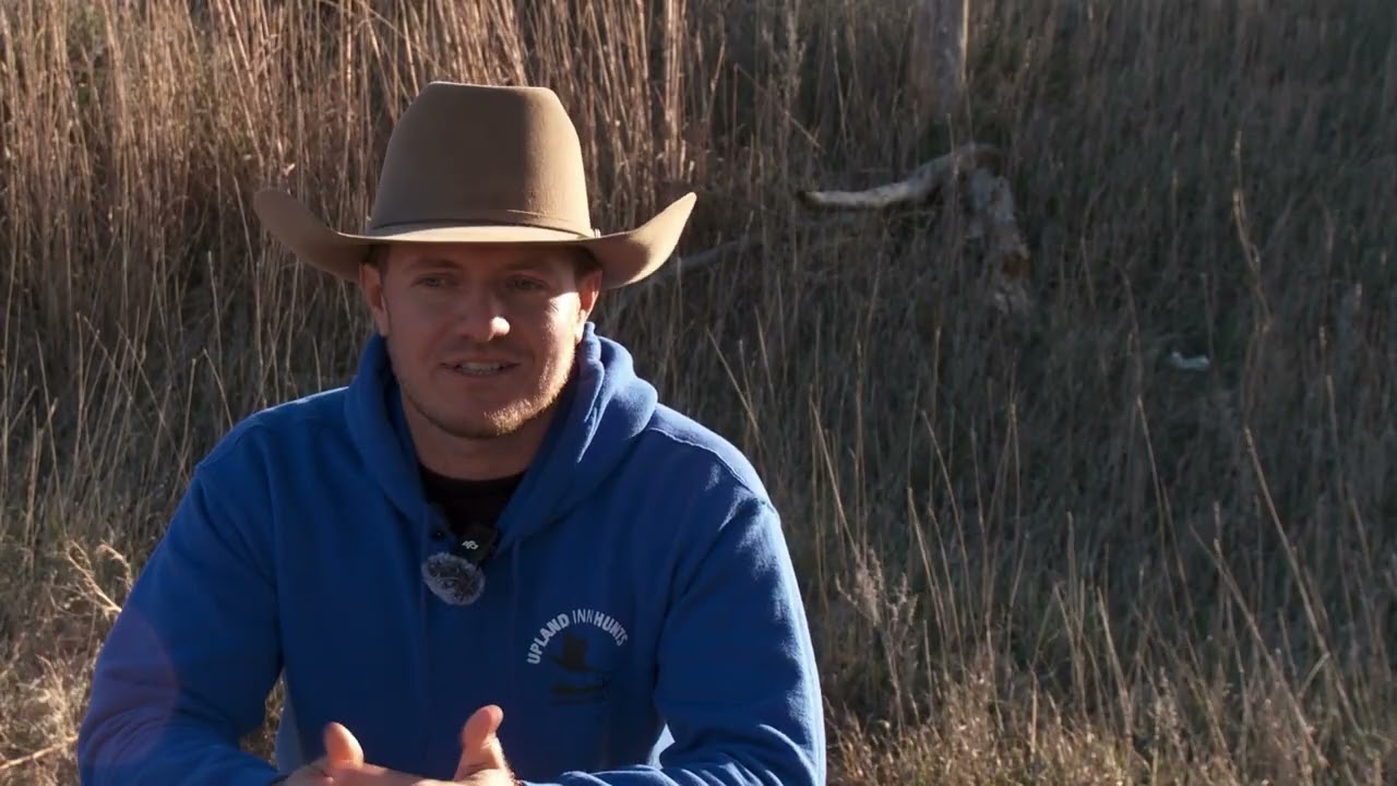 Thrilling Pheasant Hunt at Upland Inn with Cutter Golson | American Birdhunter S20