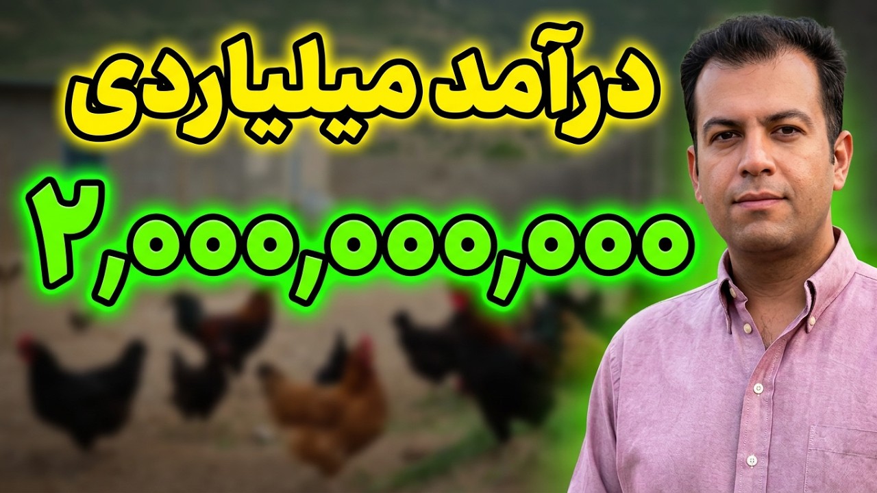 درآمد پرورش مرغ بومی  , سود پرورش مرغ محلی , آموزش پرورش مرغ بومی , درآمد مرغداری , پرورش طیور , مرغ