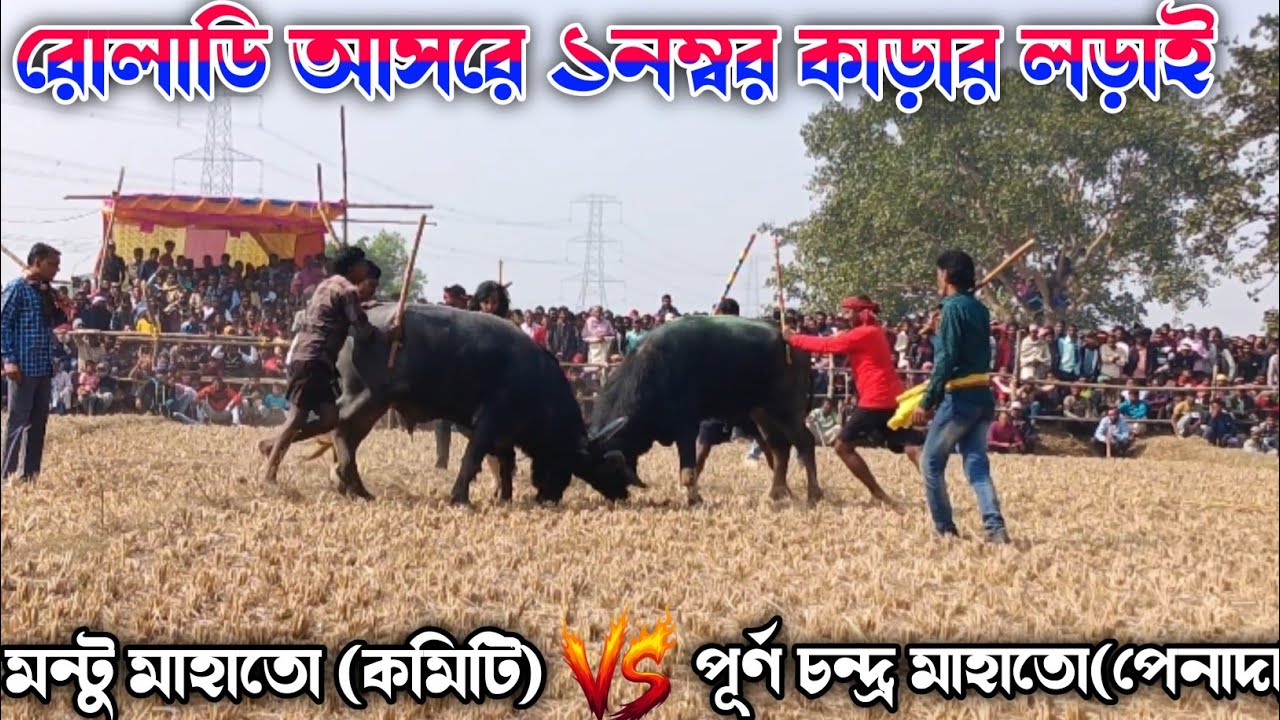 রোলাডি আসরে ১নম্বর কাড়ার লড়াই মন্টু মাহাতো (কমিটি) vs পূর্ণ চন্দ্র মাহাতো(পেনাদা)