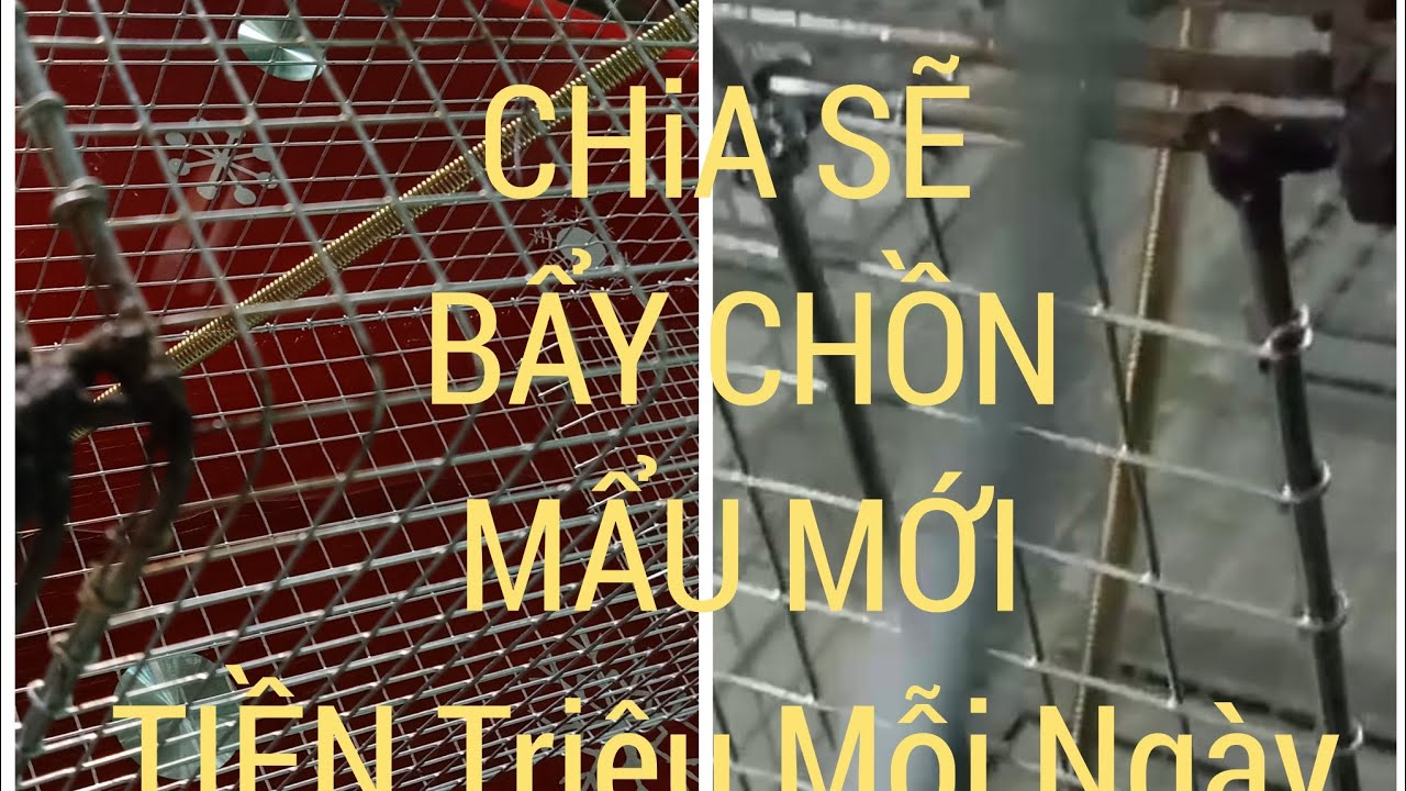 #bẩy chồn# mẩu mới sát xuất 100/100/#