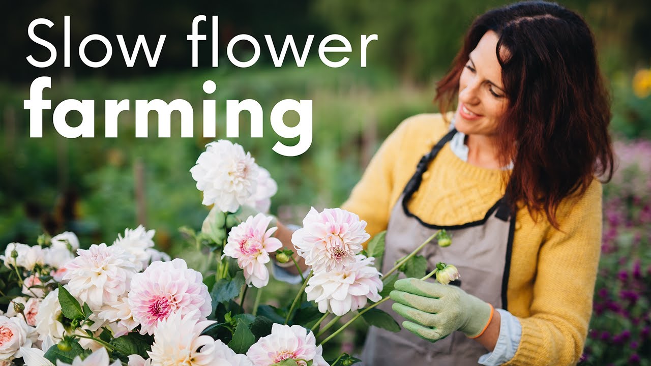 Benefits of micro flower farming with Celine Watz
