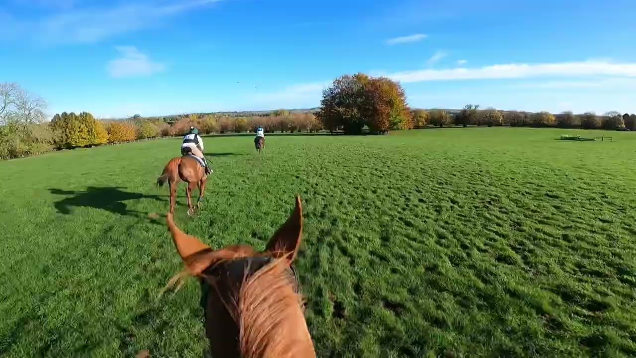 Cotswold Intermediate Speed 2025 Gloucestershire Equine Vets