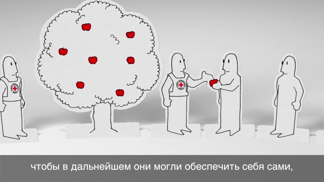 Просто о том, что значит работать в МККК