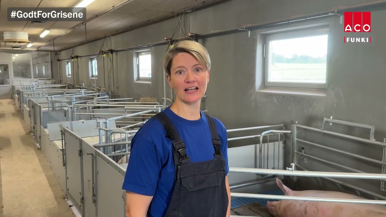 Godt for grisene. Godt for Danmark | Interview med Jonna Lynge Andersen om gyllekassetter