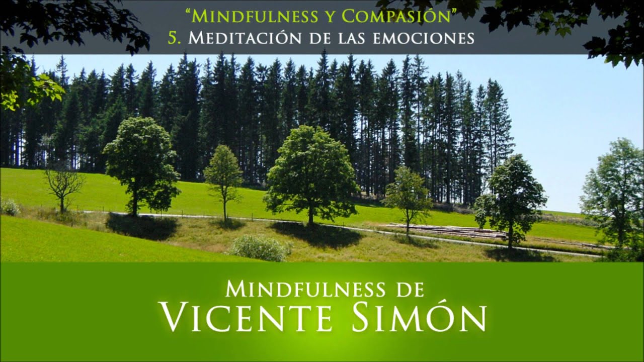 CD1 05 Meditación de las emociones