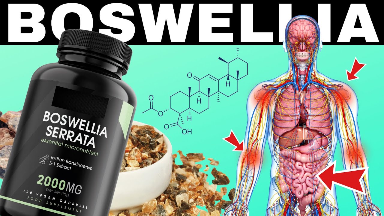 Boswellia Serrata - Comprehensive Review Of An Amazing Plants Effects & Benefits (Frankincense) 2022