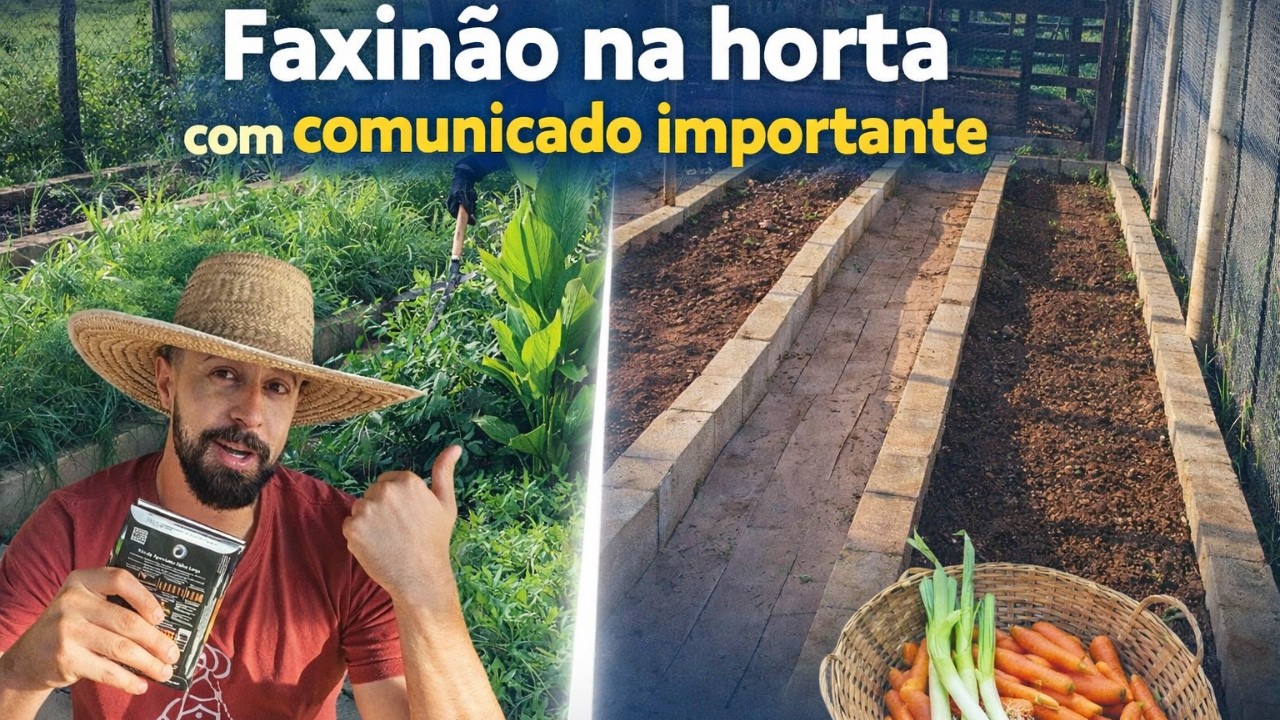 Esse vídeo é diferente (preciso ser sincero) - Rotina do sítio e mudanças