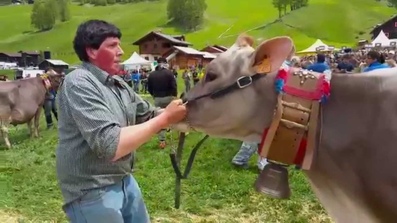 Livigno Mostra Zootecnica di primavera