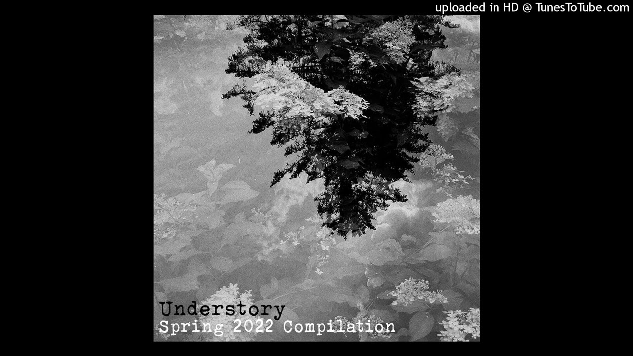 Dan Andrei & Dragoș Ilici - Postponed