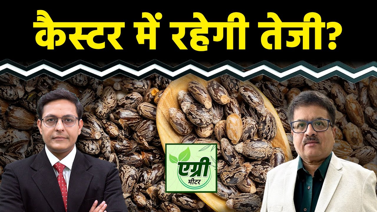 Commodity Market : NCDEX पर कैस्टरसीड खरीदें या बेचें? Trading | Agri Commodity