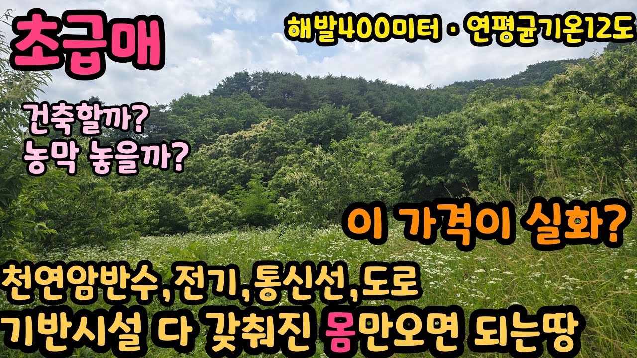 [No.825]초급매:기반시설  다 갖춰진 몸만오시면 되는 청정지역 싼 땅