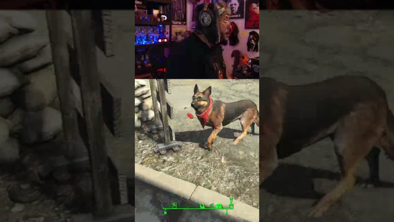 its the third attempt  on my life! #fallout4 #falloutcommunity #fallout