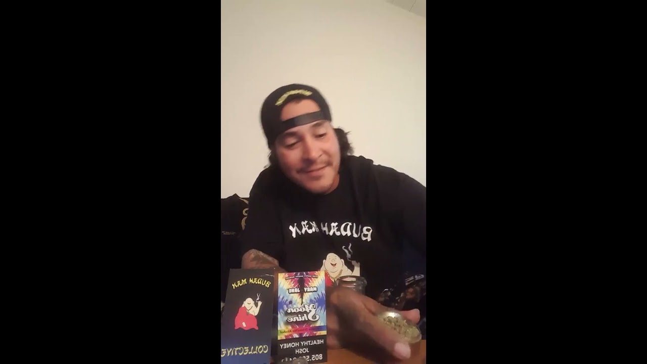 Buddah man collective au79 og  and healthy honey rosin lemon haze by dominatrix genetics (flower)