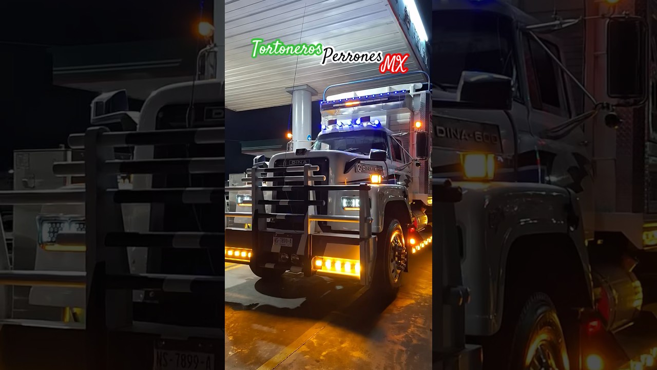 Algo bien que chulada de carro torton dina 600 famosos cachetones pap&aacute;