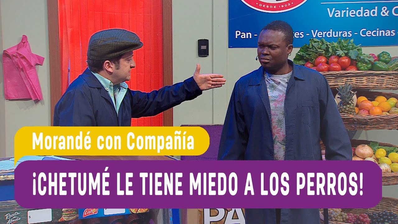 ¡Chetumé le tiene miedo a los perros! - Morandé con Compañía 2019