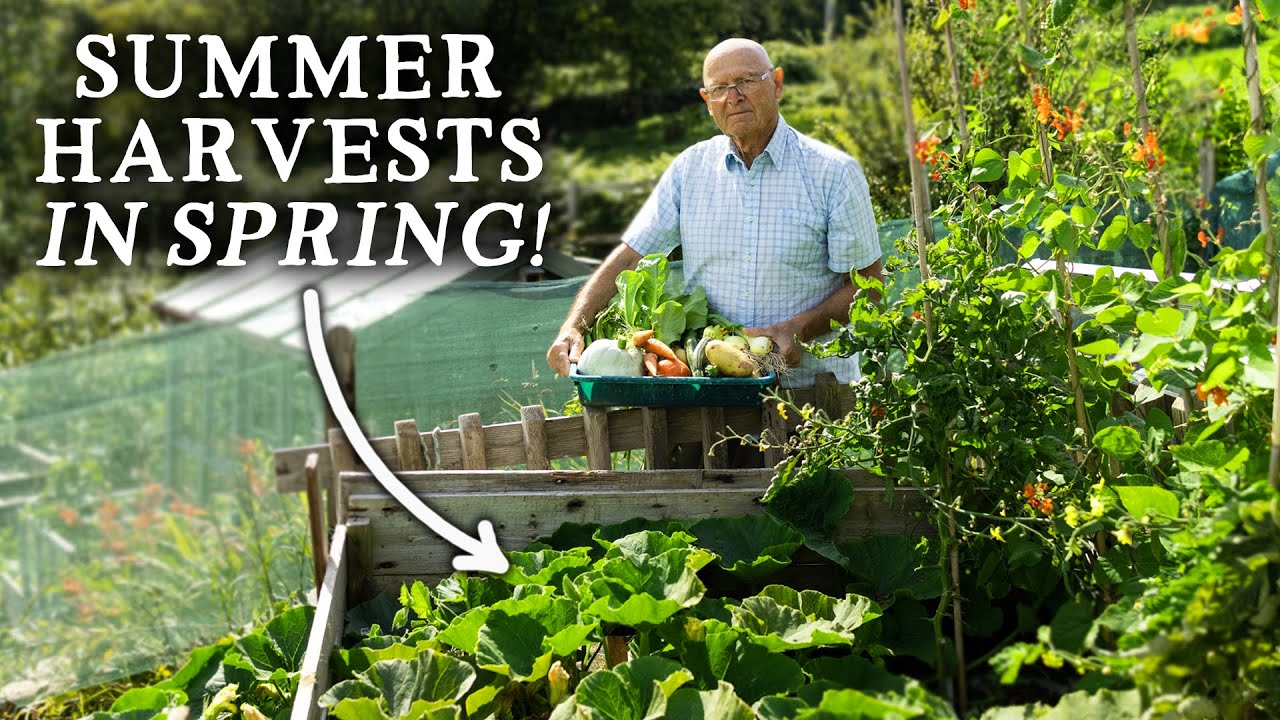 Amazingly Productive Upcycled Kitchen Garden Brings Huge Harvests!