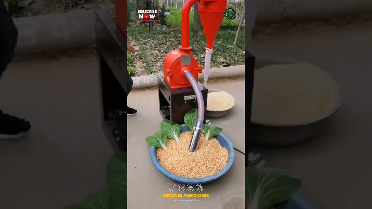 Amazing Mini FLOUR MILLING / GRINDING Machine 😱