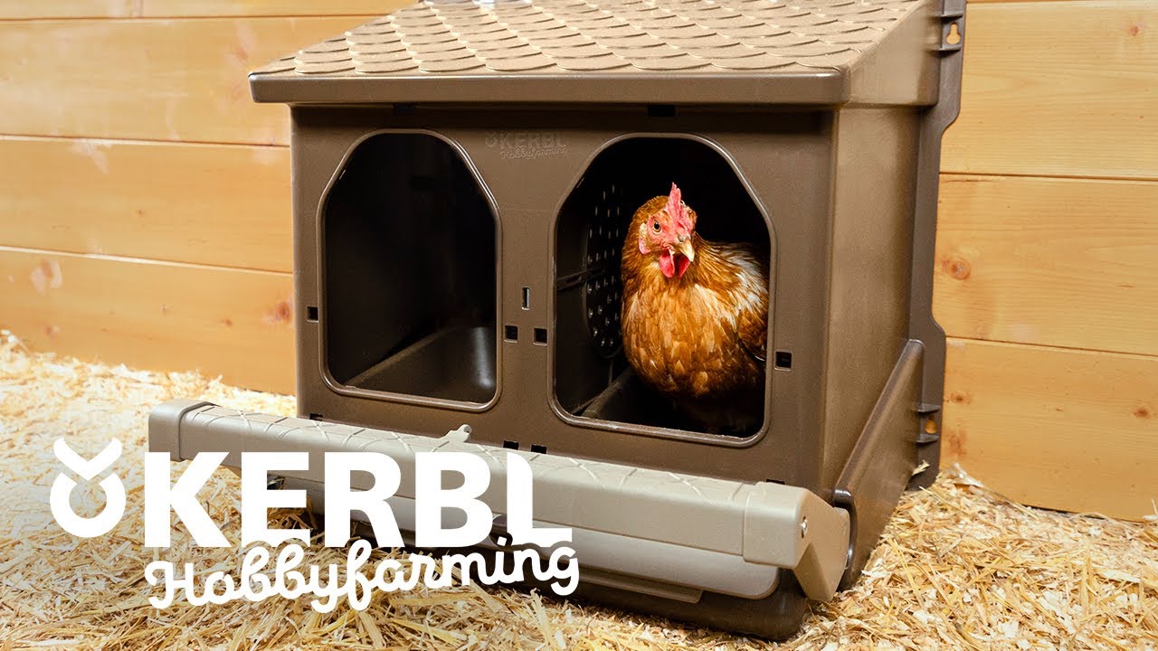 Legenest 🥚 f&uuml;r H&uuml;hner 🐔 von Kerbl Hobbyfarming