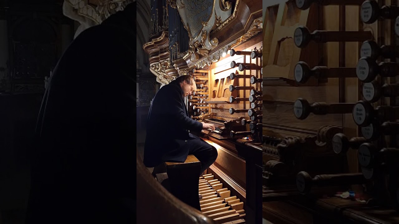 Daniel Beilschmidt AD Altenburg at the Trost organ 1739 Improvisation on