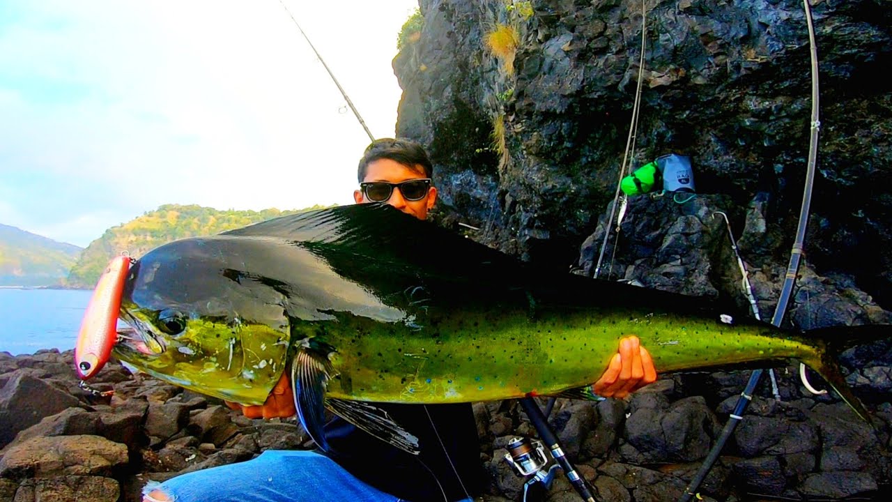 ganasnya tarikan ikan ini bikin panik para angler || mahi fish rock shore fishing bukit asah bali