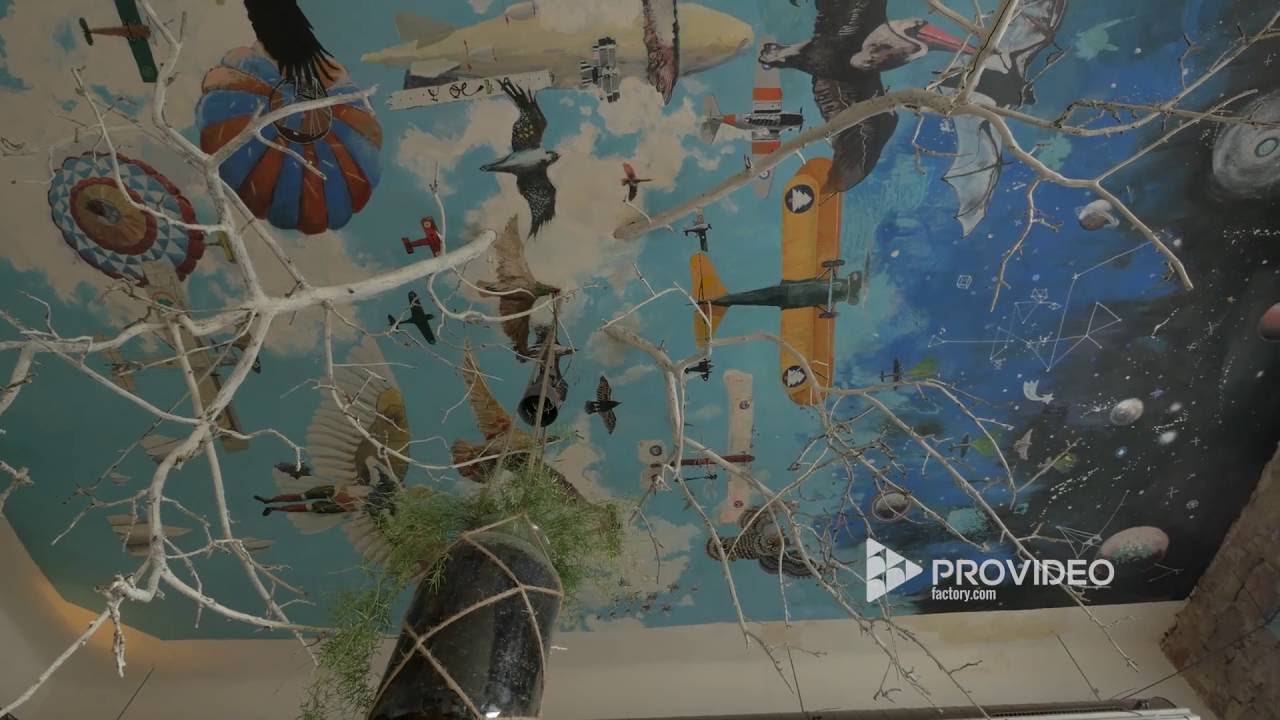 Inside a Coffee Shop - Stock Footage