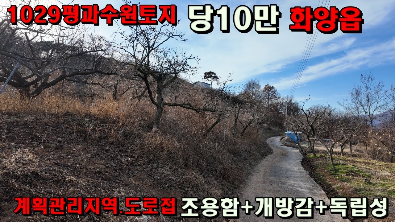[650]청도땅매매~~1,029평 조망형과수원토지..청도에서 이런입지 흔치않습니다.