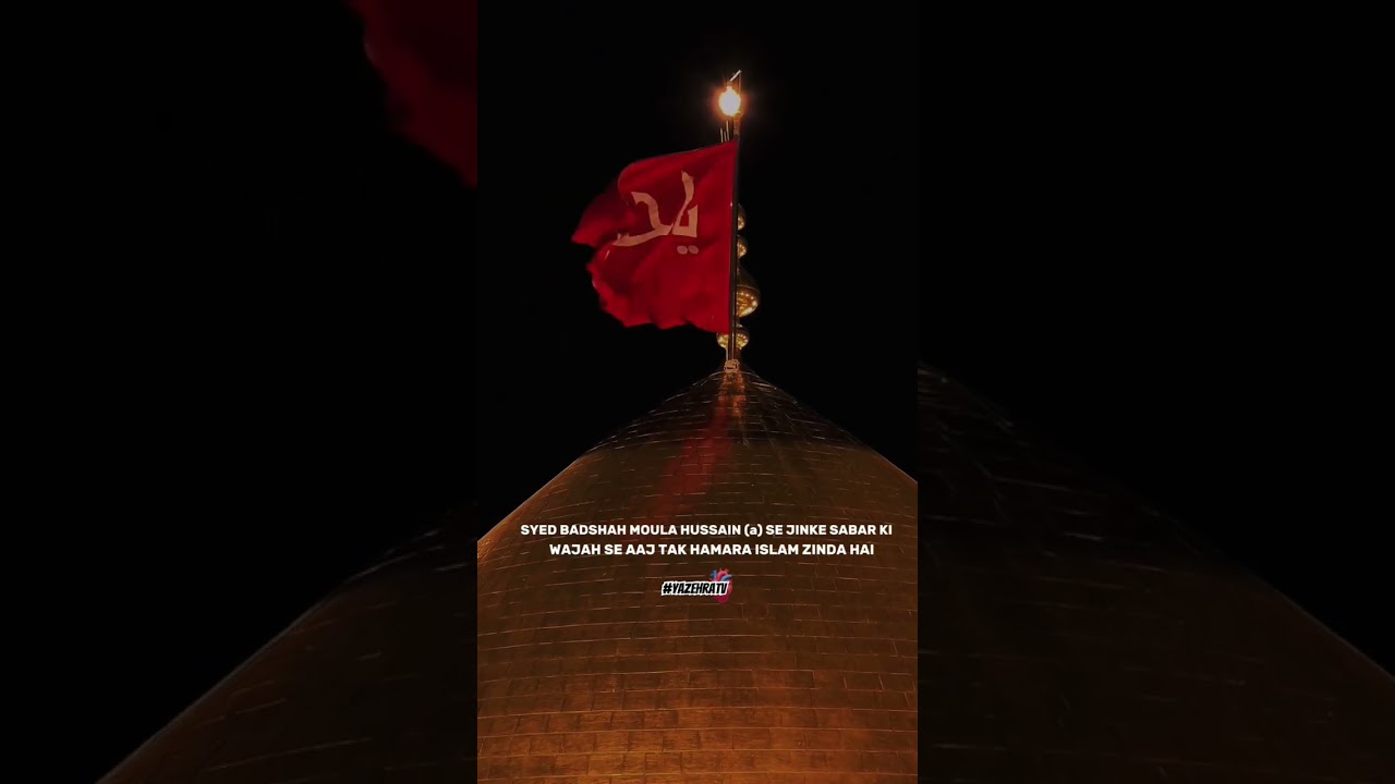 Were Did Shia People Learn Patience From 🥺 #yazehratv #shia #imamhussain #yahussain #viral #reels